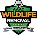 Oak Creek Wildlife Removal